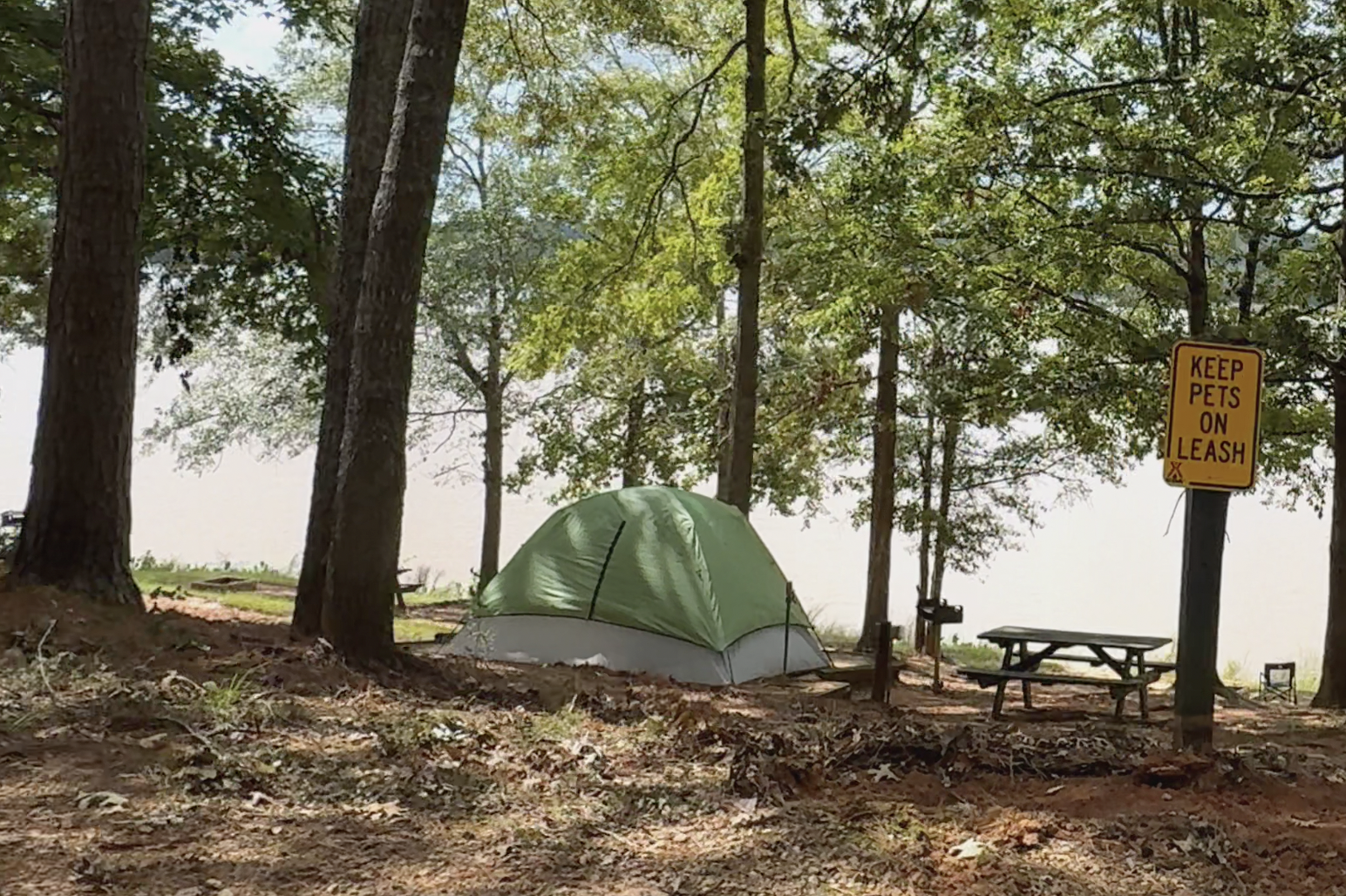 Tent View